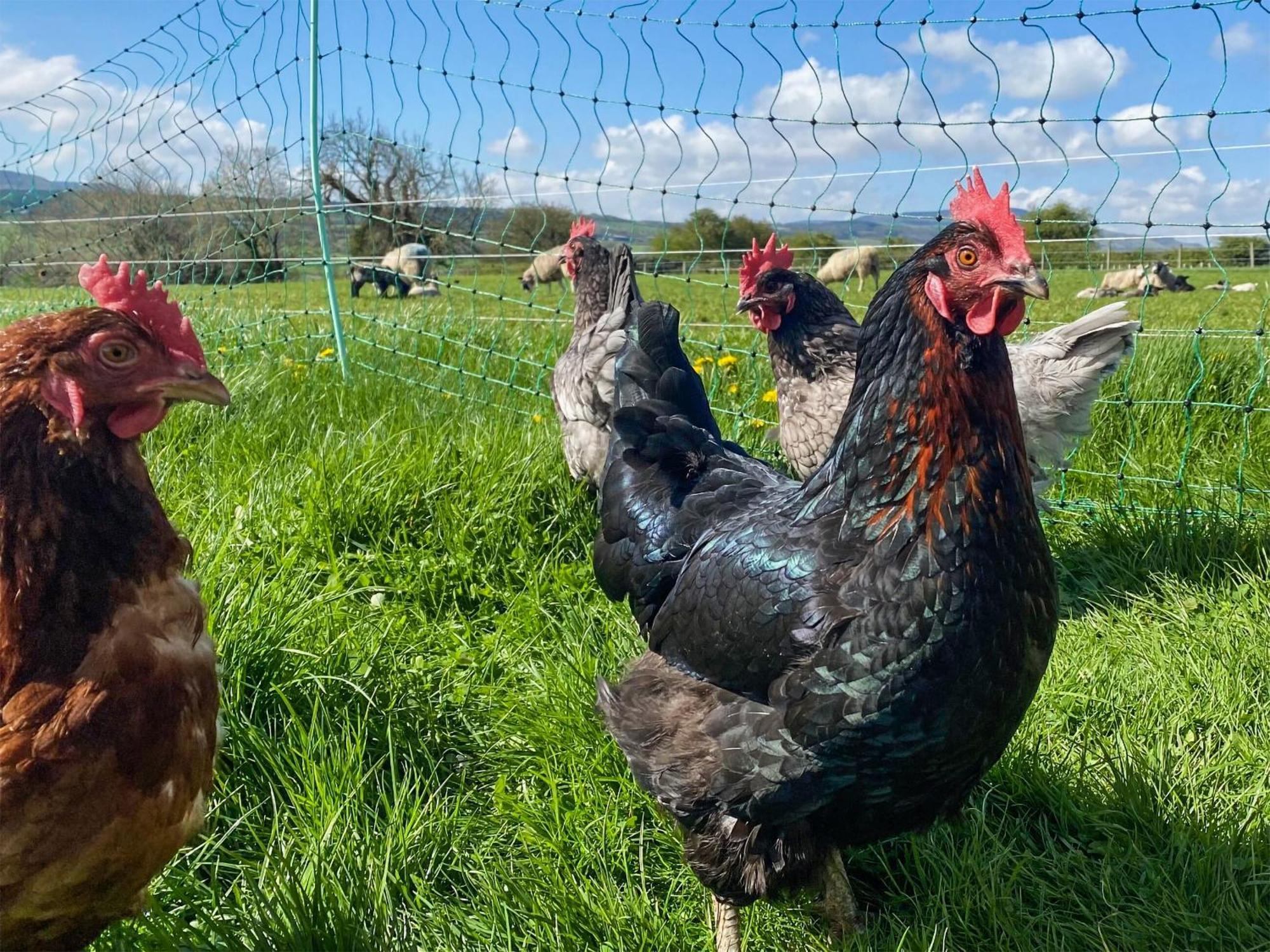 Brookfields Βίλα Middleham Εξωτερικό φωτογραφία